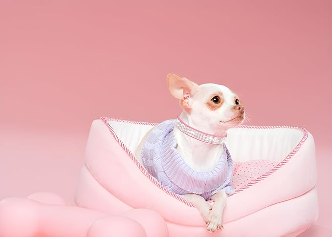 Bling Small Dog Collar Leash Set, Puppy Collar with Rhinestone Crystal Diamond Glitter Female Girls Cat Collars for XXS XS Small Medium Large Dogs Chihuahua Poodle Yorkshire (Pink S)