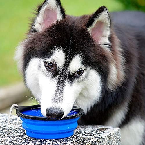 Kytely Large Collapsible Dog Bowls 2 Pack, 34oz Foldable Dog Travel Bowl, Portable Pet Water Food Bowl with Clasp, Pet Cat Feeding Cup Dish for Traveling, Walking, Hiking (Blue+Blue)
