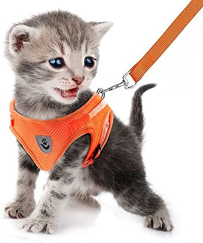 FEimaX Dog Harness and Leash Set for Walking, Soft Mesh Adjustable Easy Control Lightweight Cat Vest Harnesses with Reflective Strips, Escape Proof Small Dogs Cats Vests (Orange, Large)