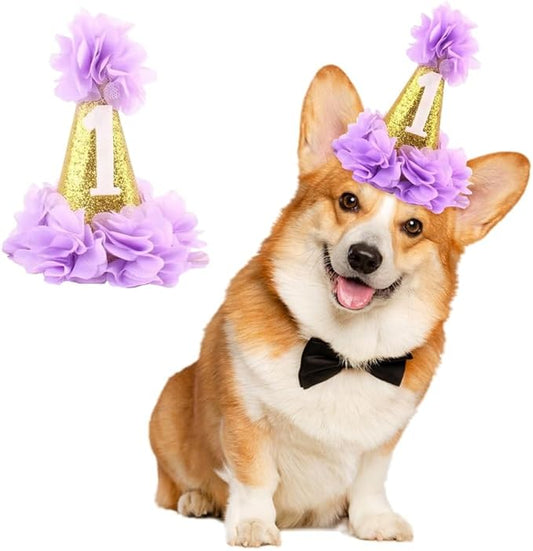 1st Pet Birthday Cone Hat Dogs Cats Holiday Party Hat Headwear Costume with Flowers Accessories and Adjustable Headband for Small Medium Dogs Cats Pets Baby, Purple
