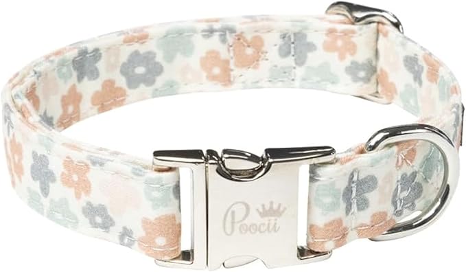 Durable Cotton Blend Dog Collar, Cute & Stylish, Adjustable with Metal Locking Clasp, Made in USA (Ditzy Floral, Large)