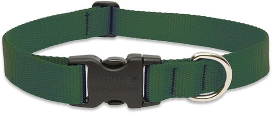 LupinePet Basics 1" Green 25-31" Adjustable Collar for Extra Large Dogs