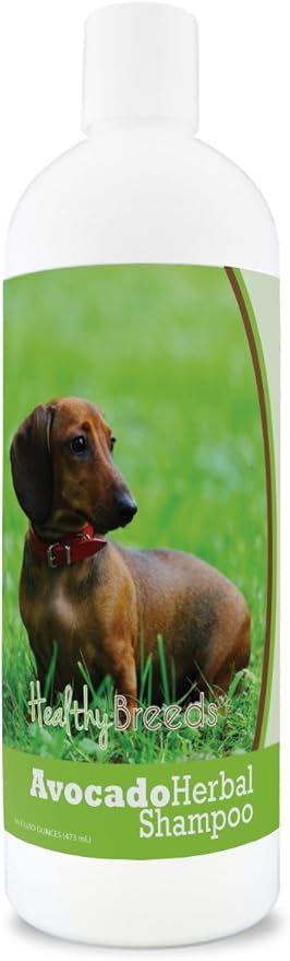 Healthy Breeds Dachshund Avocado Herbal Dog Shampoo 16 oz