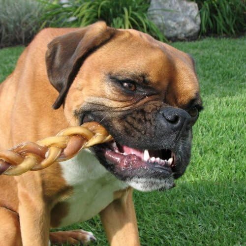 Pawstruck Natural 7” Braided Bully Sticks for Dogs - Tough Long Lasting, Rawhide Free, Low Odor, Healthy Single Ingredient Chew Treat for Aggressive Chewers - 10 Count - Packaging May Vary