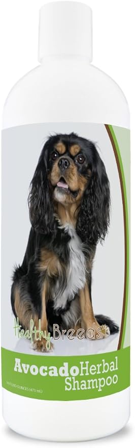 Healthy Breeds Cavalier King Charles Spaniel Avocado Herbal Dog Shampoo 16 oz