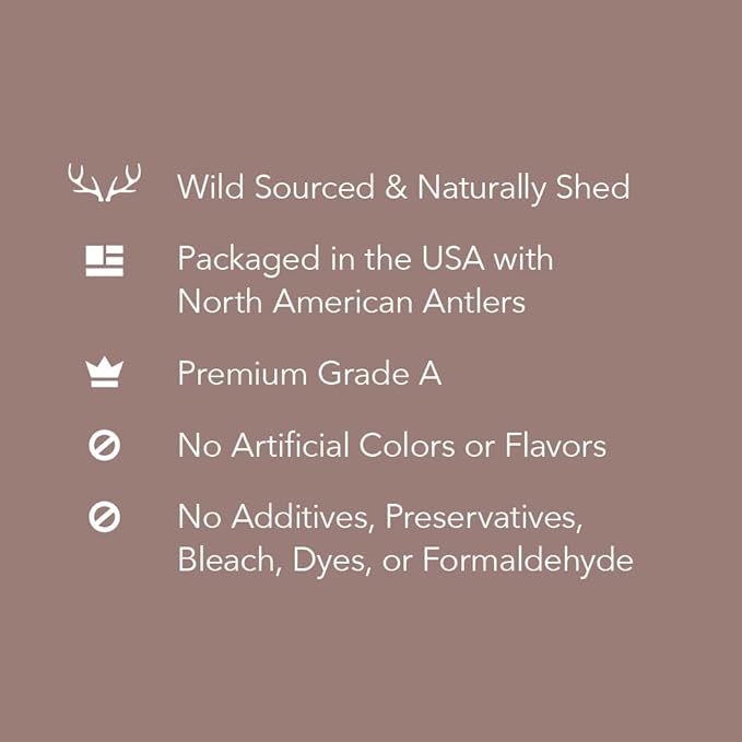 Amazon Brand – Wag Dog Deer Antler Chew, Naturally Shed, Whole, 9–10.5 inches, X-Large (Best for Dogs over 45 lbs)