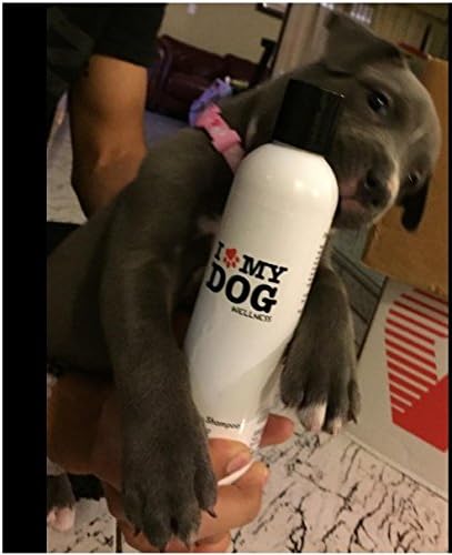 Puppy Gentle Shampoo - All Natural Grooming Product - Aloe Vera - Soothes Skin - Conditions Coat - Perfect for Pet Sensitive Youthful Skin - Premium (8 Fl. Oz)