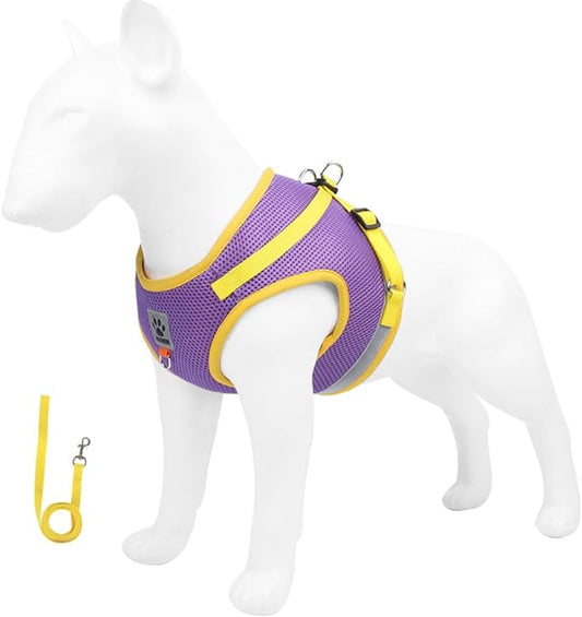leconpet Dog Harness and Leash Set, Reflective Step in Harness Vest Set-Hook and Loop Fasteners and Buckle Design Combined with Double D Ring on The Back and Chest Ring (Purple, S)
