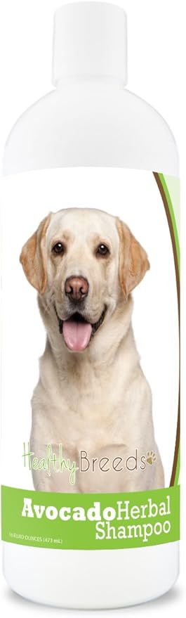 Healthy Breeds Labrador Retriever Avocado Herbal Dog Shampoo 16 oz