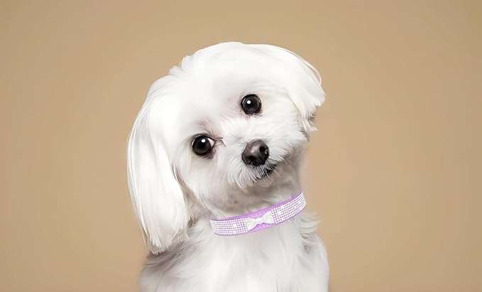 Bling XXS Dog Collar, Rhinestone Girl's Cat Collars Sparkling Diamond Jeweled Crystal Female Puppy Collar for XXS XS Small Dogs Pink, XXS