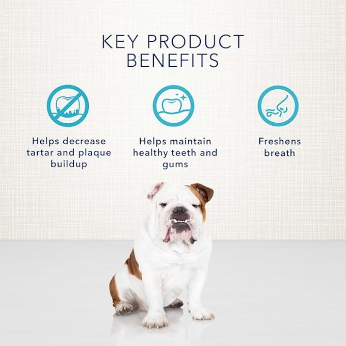 Blue Buffalo Dental Bones Large Natural Dental Chew Dog Treats Bag Jumbo Pack