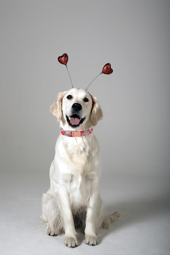 Lionet Paws Valentine Day Dog Collar, Heavy-Duty Cute Red Heart Pattern Fabric Pet Collar with Metal Buckle Necklace for Small Medium Gift, Neck 13.5-22 inches