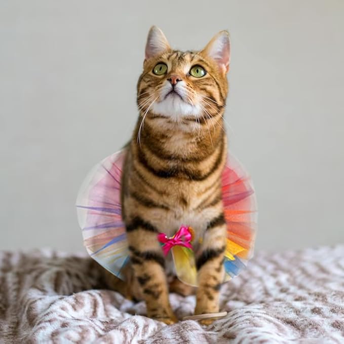 Threetols Rainbow Dog Costume Pride Princess Dress Cat Costumes, Christmas Tutu for Small Medium Cats Dogs, Fancy Rainbow Multicolor Pet Collar for Dog Cat Birthday Party Pride Accessories(L)