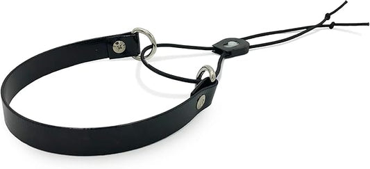 Sparky Pet Co - ECollar Replacement Strap - Bungee Dog Collar - Waterproof - Adjustable - Secure Nexus Wheel Lock - for Electronic Training & Invisible Fence Systems - 1" (Black)