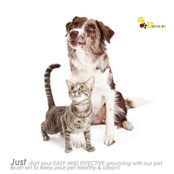 Dog Grooming Brush, Premium Soft Silicone Pet Bath Brushes, Rubber Massage Shampoo Soothing Comb Scrubber for Wet Dry Long Short Haired Dogs & Cats Massaging, Deshedding Shower