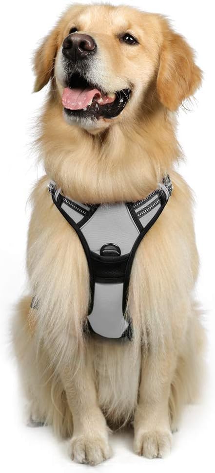 rabbitgoo Dog Harness, No-Pull Pet Harness with 2 Leash Clips, Adjustable Soft Padded Dog Vest, Reflective No-Choke Pet Oxford Vest with Easy Control Handle for Large Dogs, Grey, L