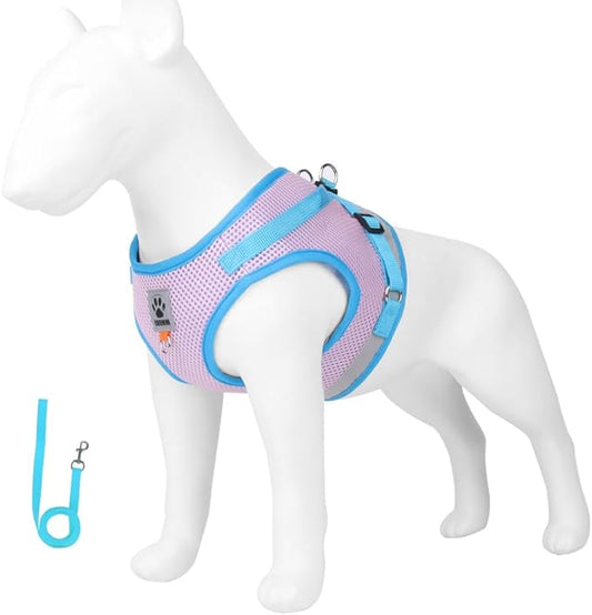 leconpet Dog Harness and Leash Set, Reflective Step in Harness Vest Set-Hook and Loop Fasteners and Buckle Design Combined with Double D Ring on The Back and Chest Ring (Pink, M)