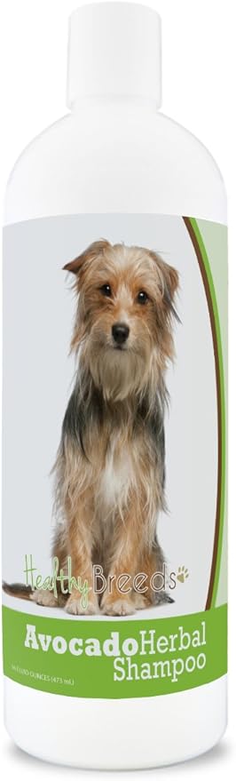 Healthy Breeds Mutt Avocado Herbal Dog Shampoo 16 oz