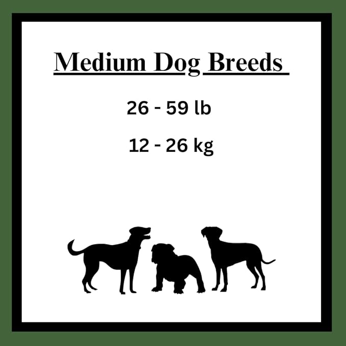 Dog Chews Bundles for Small and Medium Dogs, Rawhide Free Alternative 5 inch Retriever Sticks Bundle with 1 Dog Waste Roll, Dental Treats for Moderate Chewers (Chicken, 10 Count)