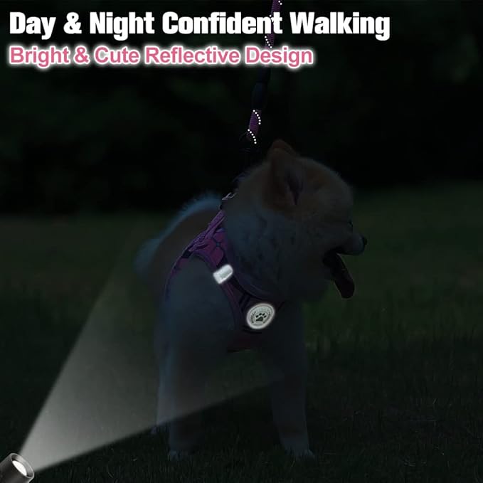 BEAUTYZOO Small Dog Harness and Leash Set,Step in No Chock No Pull Soft Mesh Dog Harnesses Reflective for Extra-Small/Small Medium Puppy Dogs and Cats, Plaid Dog Vest Harness for XS S Pets, Pink XXS