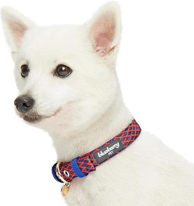 Blueberry Pet 2 Patterns Diamond Pattern Adjustable Neoprene Padded Dog Collar with Metal Buckle - True Red, Neck 9-12.5", for Small Breed