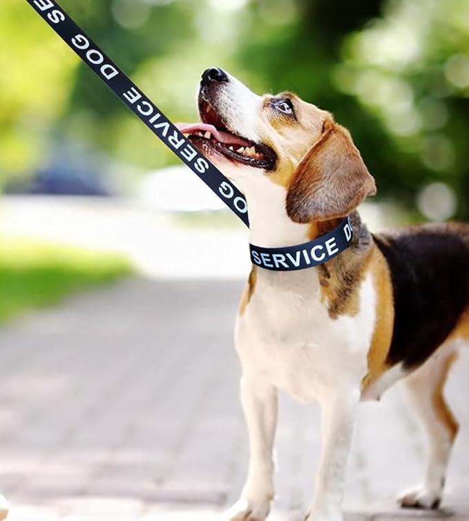 MayPaw Service Dog Collar, 1” and 1.5” Wide Dog Collar Strong Nylon Medium Large Extra-Large Dog Collar (Neck Fit 17.5-27",1.5" Wide, Black)