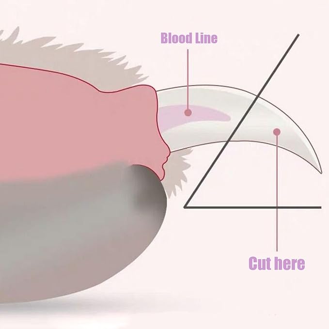 ANTNX 6-piece pet grooming and cleaning set Hair removal comb with pet nail clippers and file Pet gloves for dogs and cats