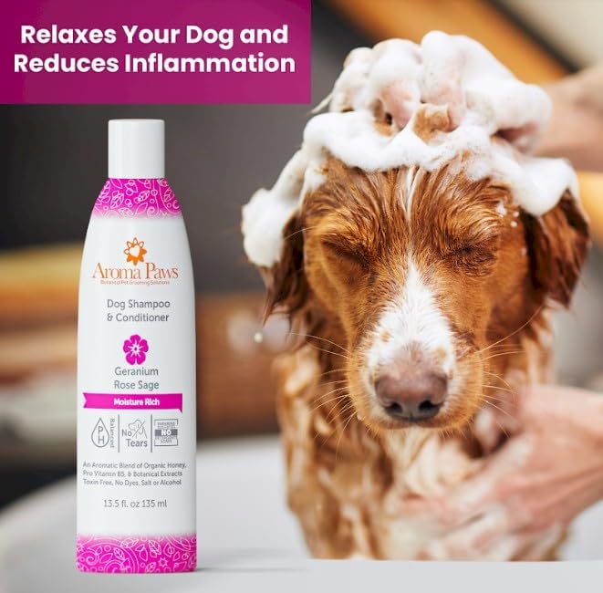 Shampoo & Conditioner in One (Geranium Rose Sage)