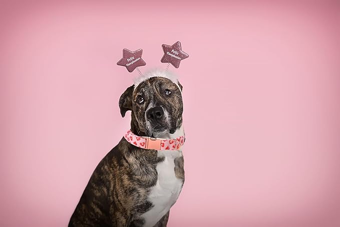 Lionet Paws Valentine Day Dog Collar, Heavy-Duty Cute Red Heart Pattern Collar with Metal Buckle Pet Necklace for Medium Large Dog Gift, Neck 16-24 inches