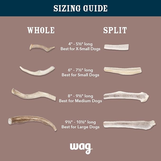 Amazon Brand – Wag Dog Deer Antler Chew, Naturally Shed, Whole, 9–10.5 inches, X-Large (Best for Dogs over 45 lbs)