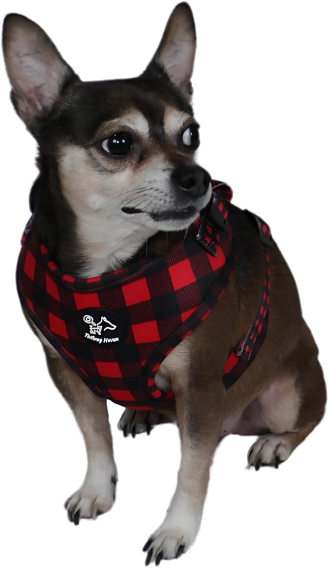 Dog Harness and Leash Set, No Pull Adjustable Soft Padded Vest, No Choke (Small, Red Plaid)