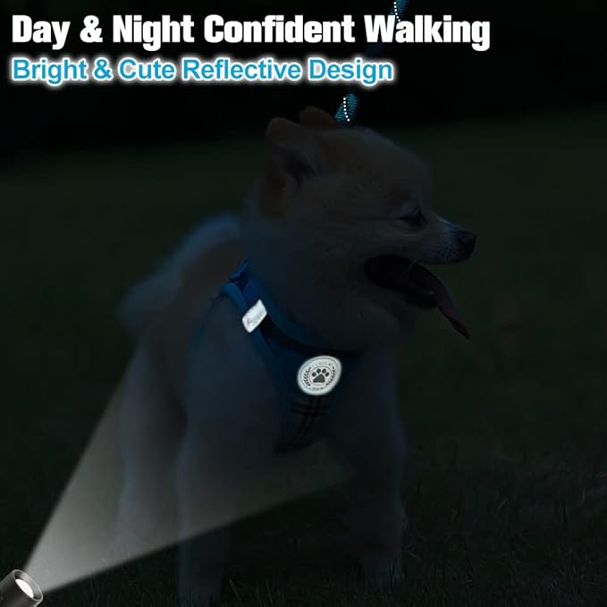 BEAUTYZOO Small Dog Harness and Leash Set,Step in No Chock No Pull Soft Mesh Dog Harnesses Reflective for Extra-Small/Small Medium Puppy Dogs and Cats, Plaid Dog Vest Harness for XS S Pets, Blue XXS