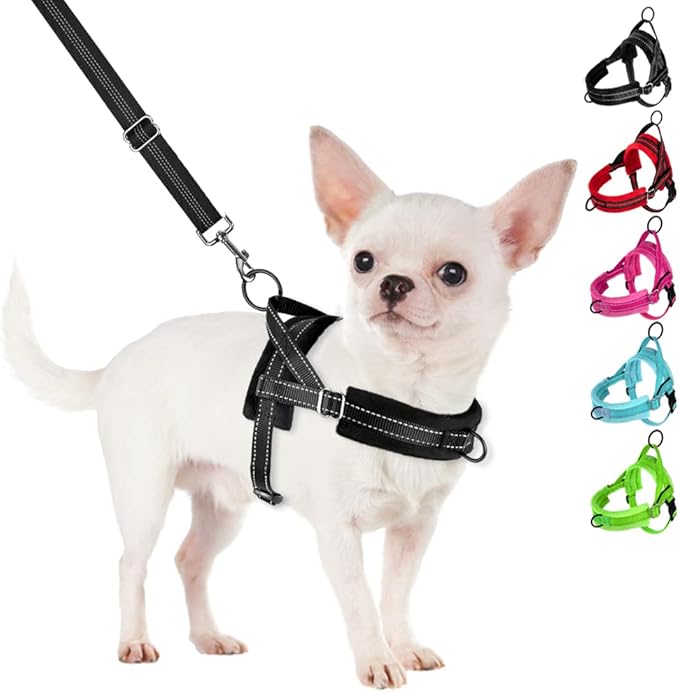 SlowTon No Pull Small Dog Harness and Leash Set, Puppy Soft Vest Harness Neck & Chest Adjustable, Reflective Lightweight Harness & Anti-Twist Pet Lead Combo for Small Medium Dogs (B-Front Clip,XXS)