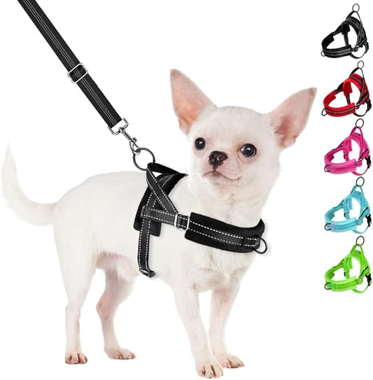 SlowTon No Pull Small Dog Harness and Leash Set, Puppy Soft Vest Harness Neck & Chest Adjustable, Reflective Lightweight Harness & Anti-Twist Pet Lead Combo for Small Medium Dogs (B-Front Clip,XXS)