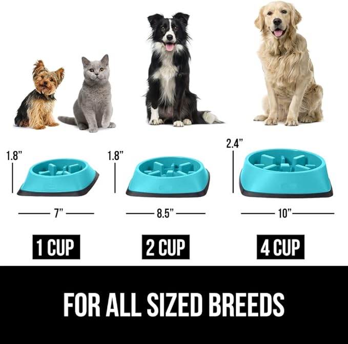 Gorilla Grip Slow Feeder Dog and Cat Bowls, Interactive Puzzle Toy for Dogs and Cats Food Training, Keeps Pets Busy and Prevents Puppy Overeating, Large, Small Breeds, 100% BPA Free, 2 Cup Turquoise