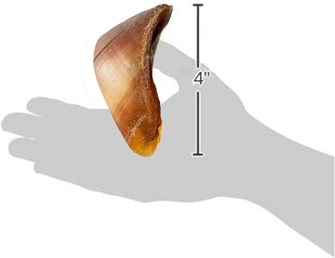 Filled Cow Hooves for Dogs - Delicious Beef Flavor, Stuffed Natural Beef Hoof Dog Chews, Tasty Treats for Dog, Made from Premium Brazilian Cattle, Dog Hooves | 10 Count