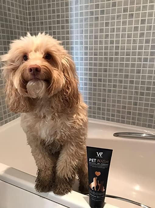 Watermans Cat & Dog Shampoo Wash - Antifungal, Natural & Antibacterial Head-to-Tail Wash - Bubble Grooming for Smelly, Itchy Skin, Dandruff & Pet Allergies - Paraben-Free & Deodorizing
