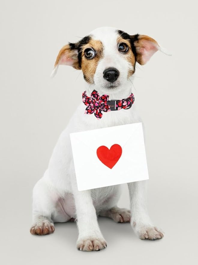Unique Style Paws Valentine's Day Dog Collar with Bow Colorful Heart Love Dog Collars for Small Medium Large Dog New (XL, Black Flower)