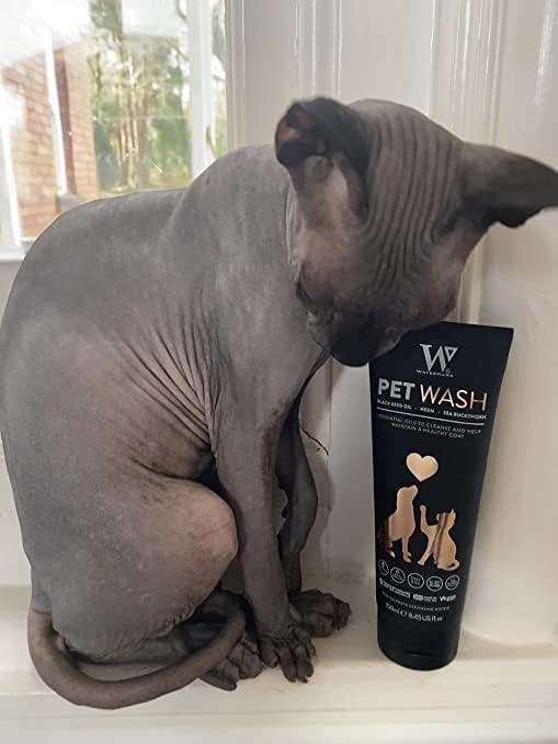 Watermans Cat & Dog Shampoo Wash - Antifungal, Natural & Antibacterial Head-to-Tail Wash - Bubble Grooming for Smelly, Itchy Skin, Dandruff & Pet Allergies - Paraben-Free & Deodorizing
