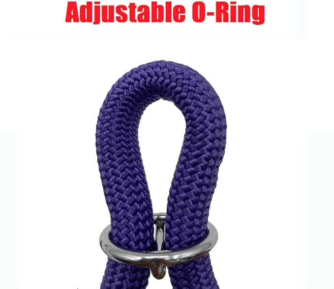 Braided Collar, Pro Training Dog Collar, No Pull Round Collar, Slip Collar with Slidable Stop Ring - Ideal for Small Medium Dogs (M- (1/3") - 18" Long, Purple)