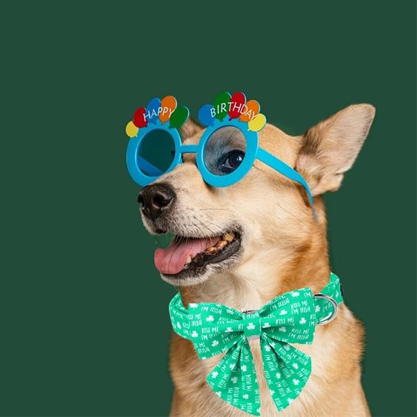 Unique Style Paws St. Patrick's Day Dog Collar with Bow Green Clover Dog Collar Bowtie Bowtie Collar for Large Medium Small Dogs