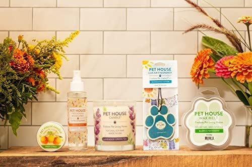 One Fur All Pet House Candle 2 Pack - Plant-Based/Soy, Long Lasting Pet Odor Candle for Home - Elderberry Jam