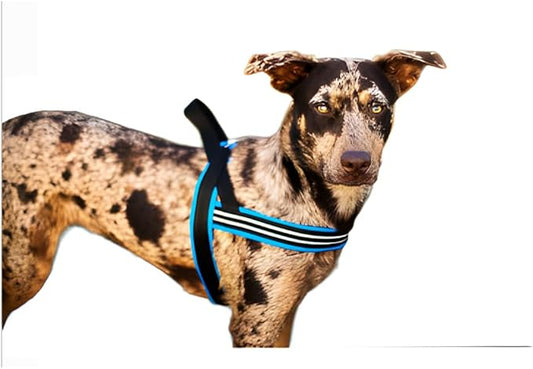 ComfortFlex Sport Harness - American Made No Pull Dog Harness Small Sized Dog - Lightweight, Padded, Reflective No Rub Harness for Walking, Running and Control - Small, Blue Jay