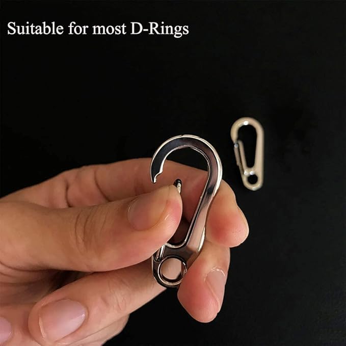 IVIA Dog Tag Clips / 2 Pack/Multiple Size 304 Stainless Steel Quick Clip with Rings/Easy Change Dog Cat ID Tag Holder for Small pet Collars and Harnesses.(2 Medium Silver)