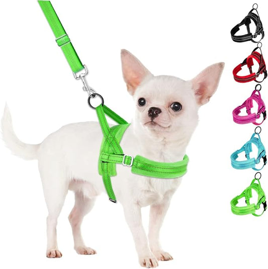 SlowTon No Pull Small Dog Harness and Leash Set, Puppy Soft Vest Harness Neck & Chest Adjustable, Reflective Lightweight Harness & Anti-Twist Pet Lead Combo for Small Medium Dogs(G,XXS)