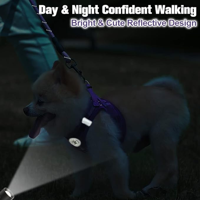 BEAUTYZOO Dog Harness and Leash Set,Step in No Chock No Pull Soft Mesh Reflective for Extra-Small/Small Medium Puppy Dogs and Cats, Plaid Dog Vest Harness for XS S Pets, Purple S