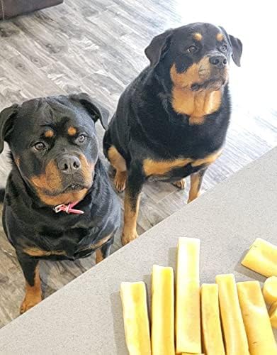 Himalayan Yak Cheese Dog Chew - (Small-Medium-Large-Extra Large-Jumbo) - Cheese Bones for Dogs - All Natural - for Aggressive Chewers - Sherpa Chew (Extra Large 2 Count)