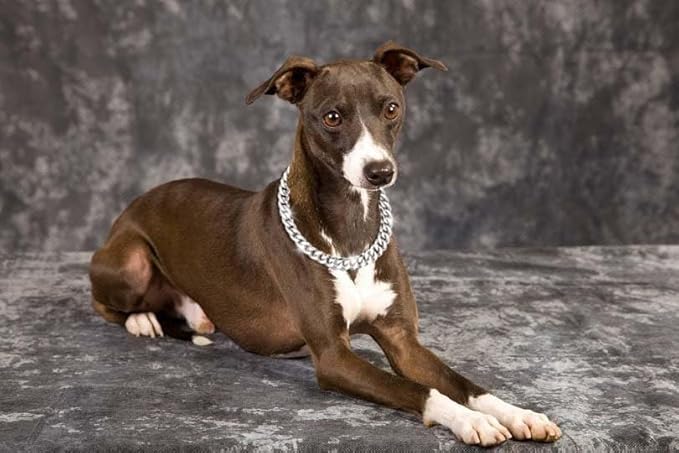 Cuban Link Chain Dog Durable Light Metal Dog Collar Silver Chain for Dog Cute Fashion Jewelry Accessories for Dogs Bulldog Pitbulls (19MM)(24)