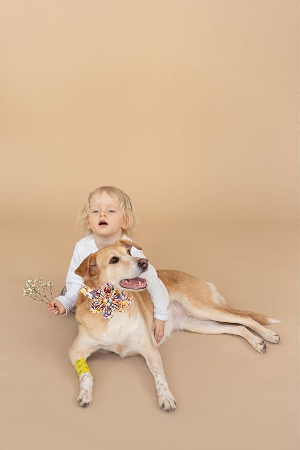 Uniqe Style Paws Flower Dog Collar, Puppy Collar Adjustable Girl Dog Collar with Flower, Durable Floral Pattern Pet Collar for X-Large Female Dogs