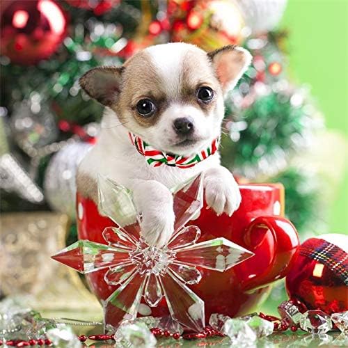 Christmas Festival Dog Collar, Stripe Pattern, Removable Bowtie, for Medium Dog, Neck 12"-18", Width 3/4". (Medium, Stripes)
